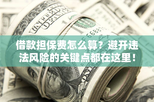 济南借款担保费怎么算？避开违法风险的关键点都在这里！