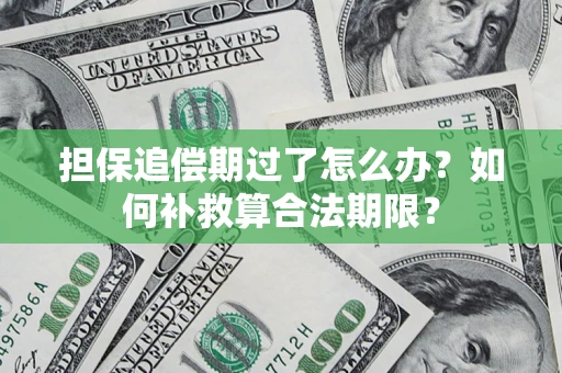 济南担保追偿期过了怎么办？如何补救算合法期限？