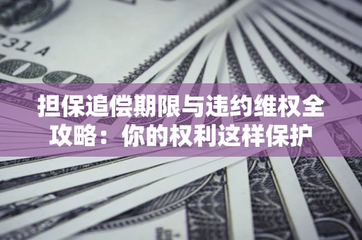 济南担保追偿期限与违约维权全攻略：你的权利这样保护